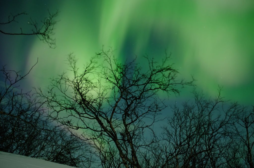 Green and pinkish purple colors of the aurora in Abisko, Sweden: a photo the author took in 2016.