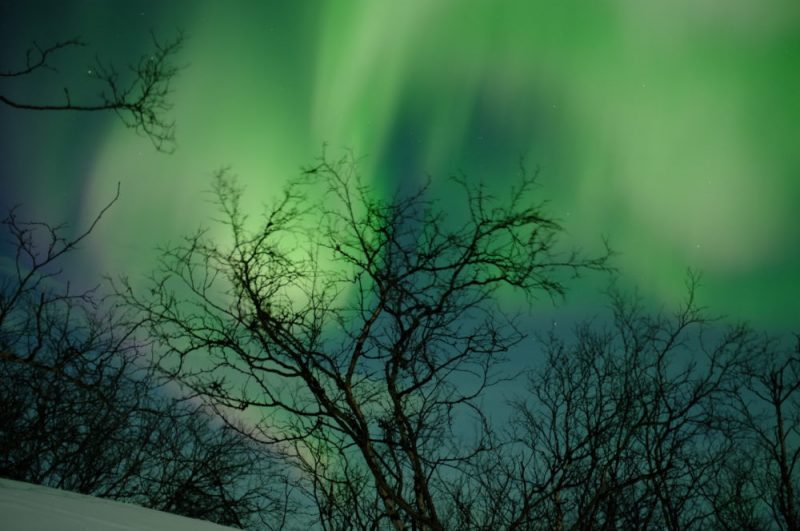 A majestic aurora on our final night in Abisko