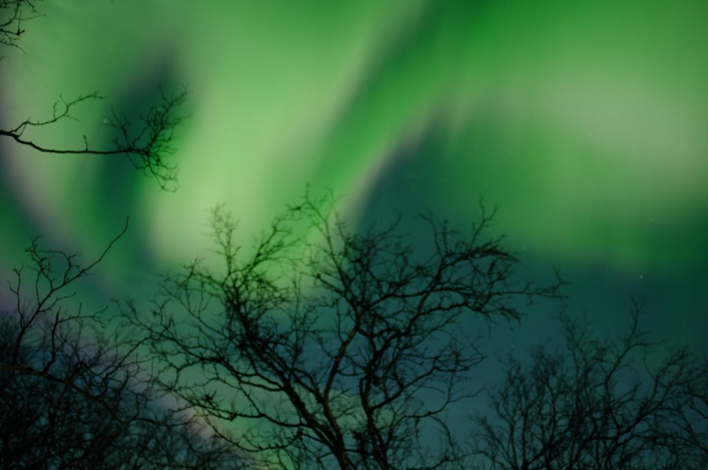 A photograph Allison took of the Northern lights as they danced overhead in 2016 in Sweden.