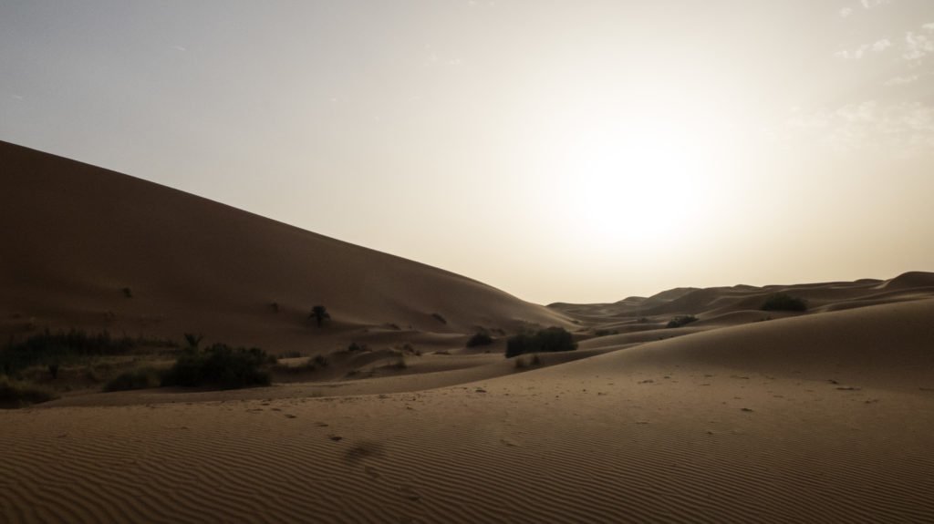 View in the desert in the morning in the Sahara