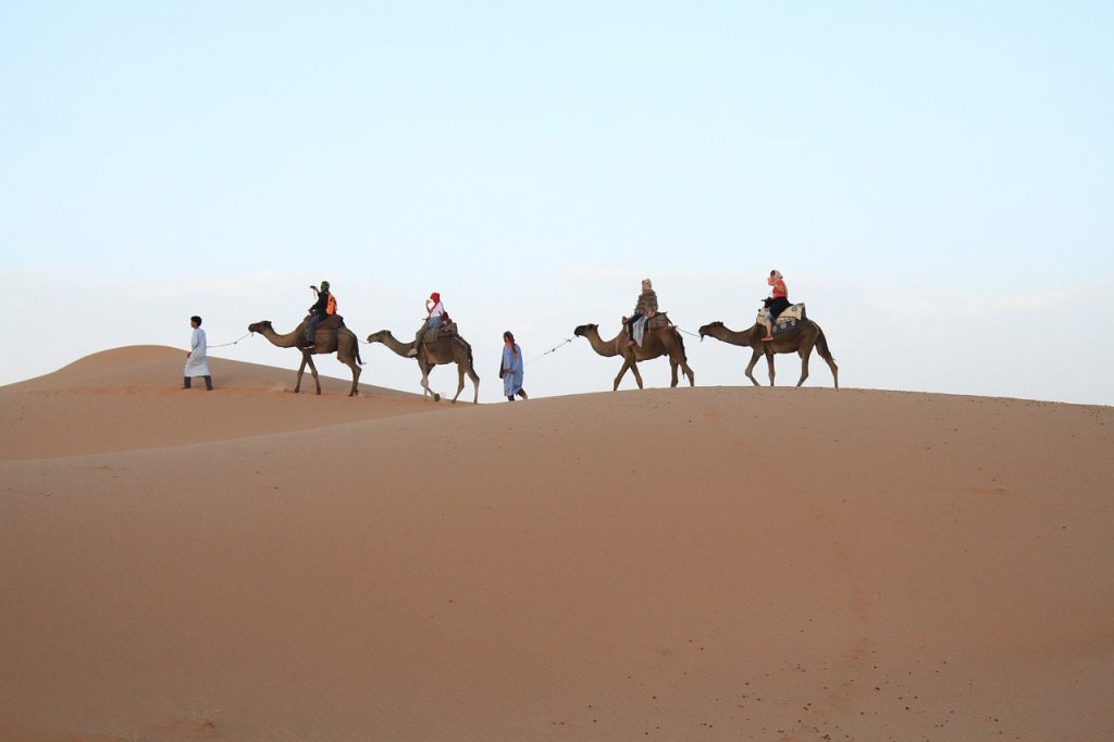 berber guides leading a small group of four people through the sand dunes of the Sahara Desert