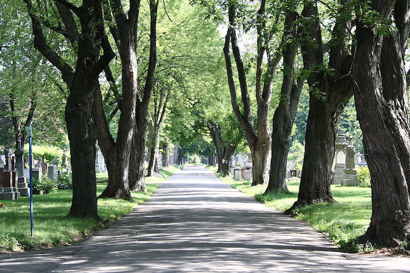 What to do in 3 days in Montreal? So much!