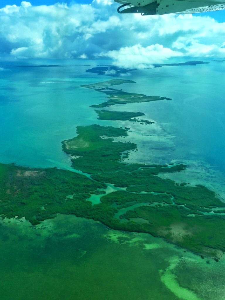 green mangrove islands seen from above the water in a plane heading to san pedro belize