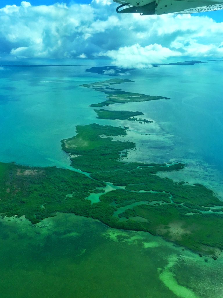 Flying over the belize cayes and mangroves while in a small plane to san pedro