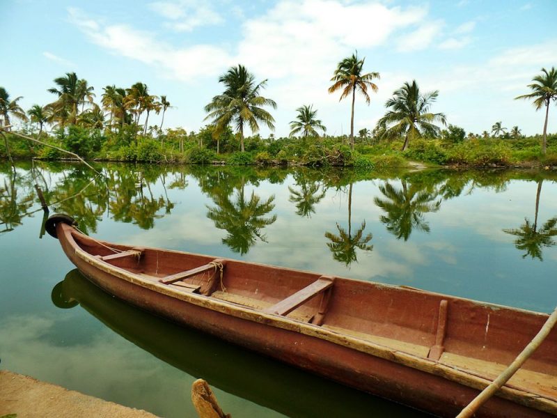 View of palm trees and clear water with a wooden boat in India