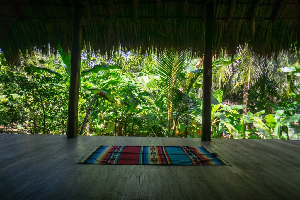 A yoga room in the jungle with a fabric mat