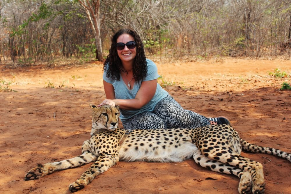 Hanging out with cheetahs - a great thing to do in Zambia