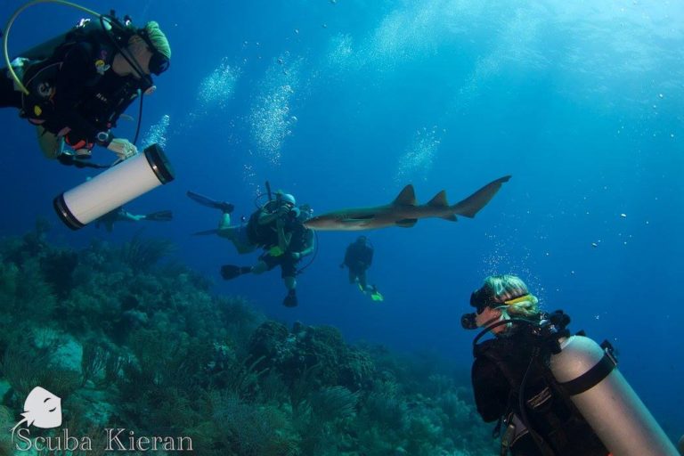 where to scuba dive on a budget