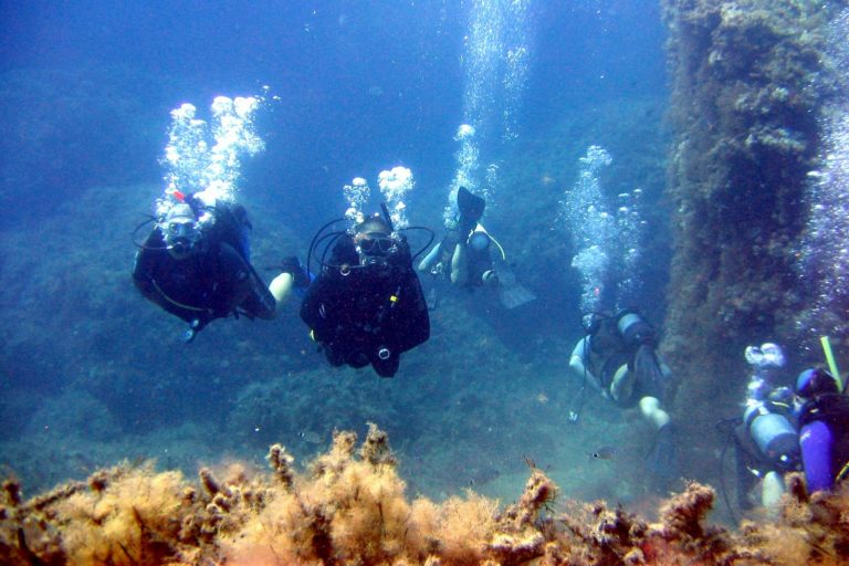 best places to learn how to dive