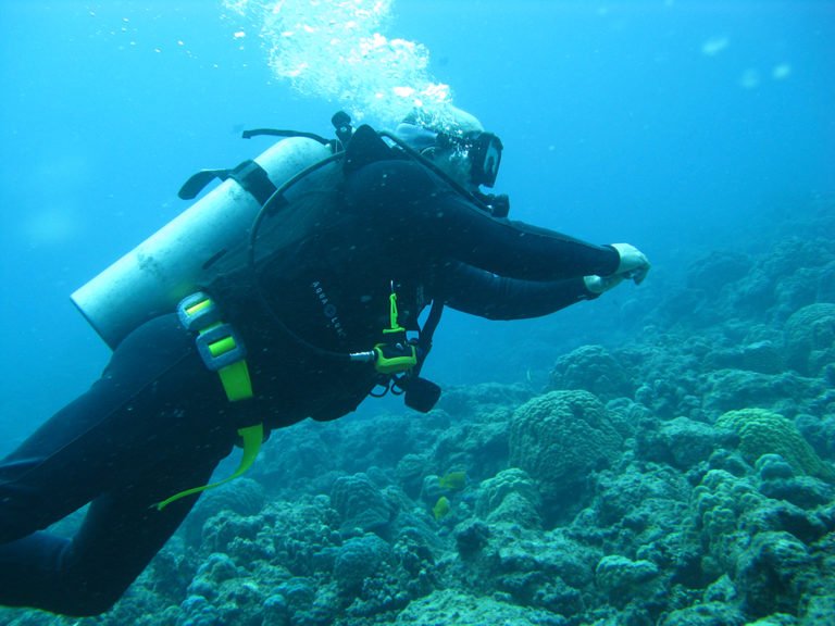 learn to scuba dive in vanuatu