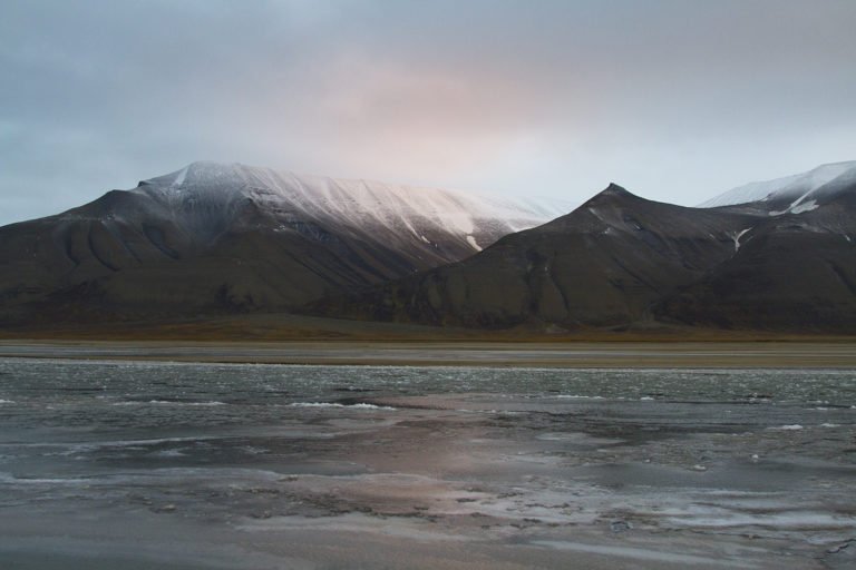 things to do in longyearbyen