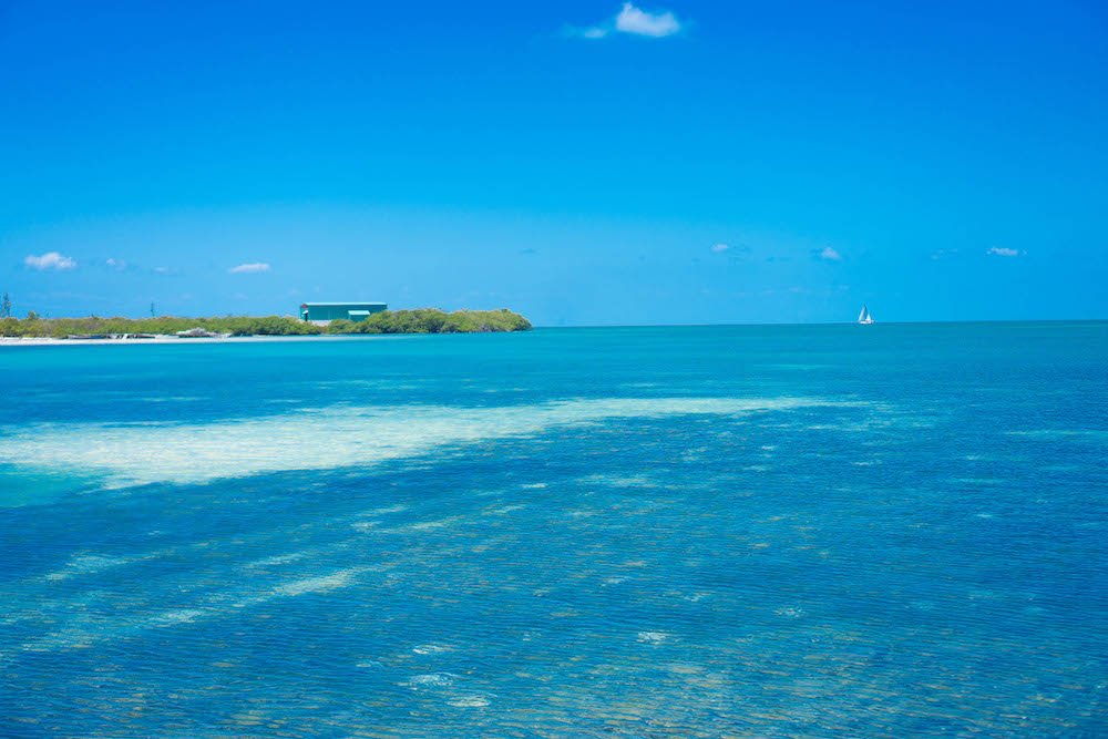 The views of the waters of Caye Caulker while you are out stand up paddleboarding.