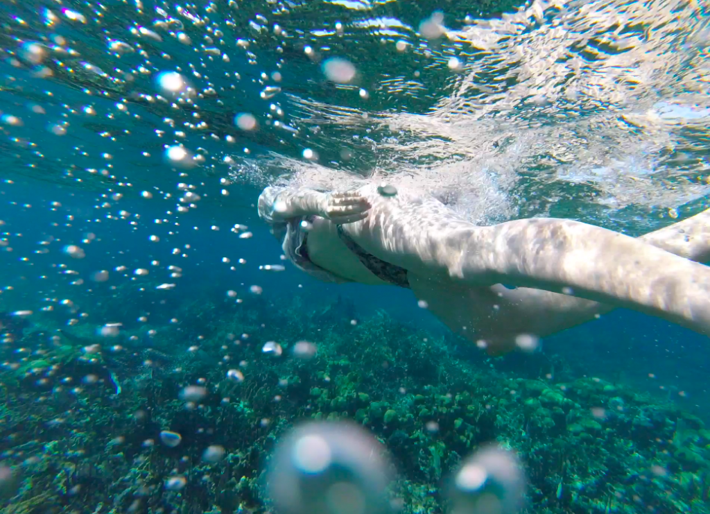 Snorkel Belize in Hol Chan Marine Reserve