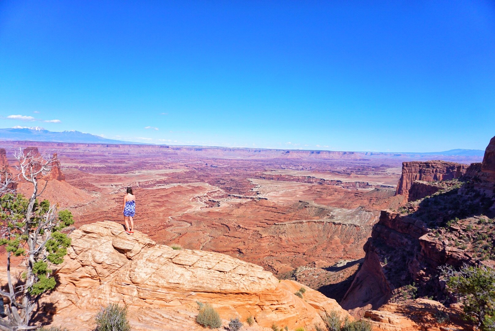 Allison standing at the edge in Canyonlands national park