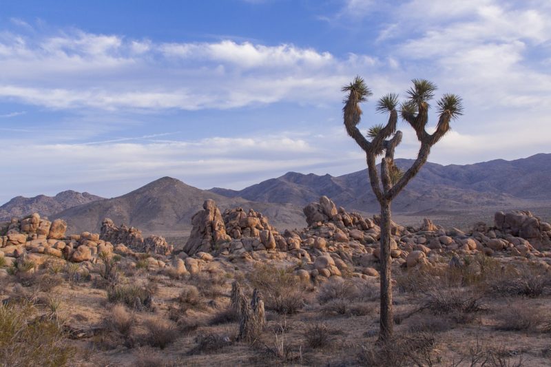 8 Epic U.S. Road Trips You Need to Take in Your Lifetime