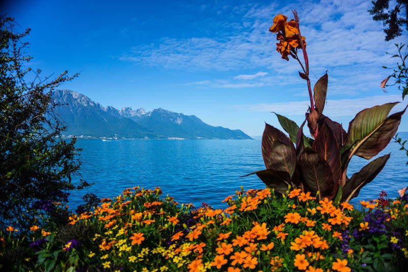 orange flowers and blue lake in Montreux with mountains in the distance on a sunny day in switzerland in summer