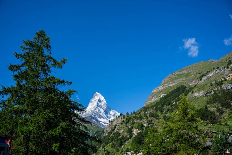 top of the matterhorn hidden behind treetops