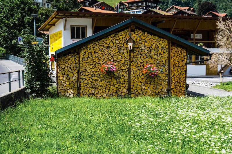 [pile of wood in a shed with flowers]