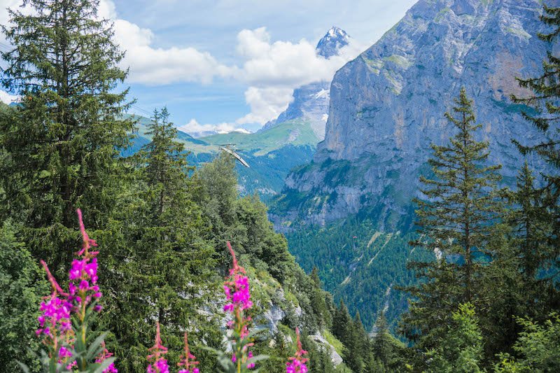 mountains of switzerland as seen from a mountain walk starting in murren down to gimmelwald