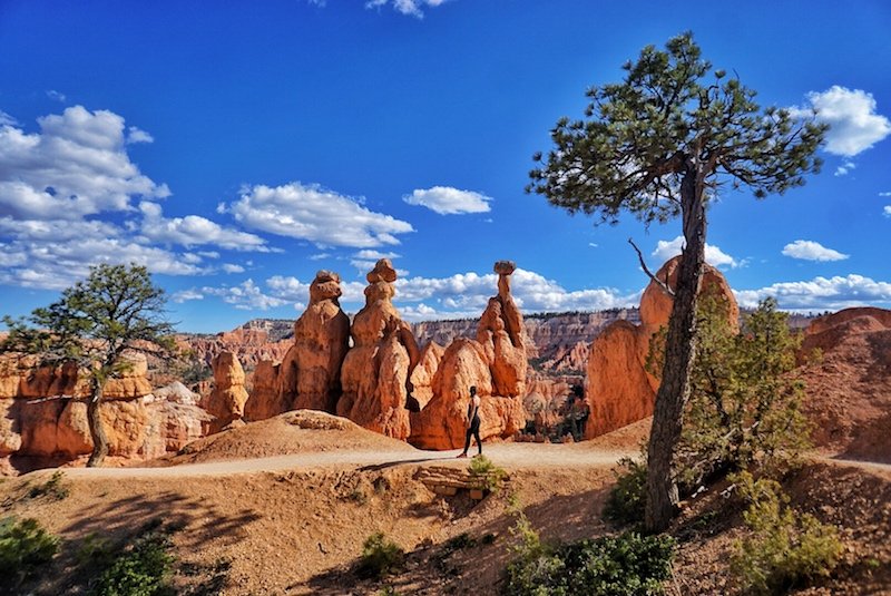 Woman hiking on Navajo Loop trail in Bryce with red hoodoo rock chimneys in background