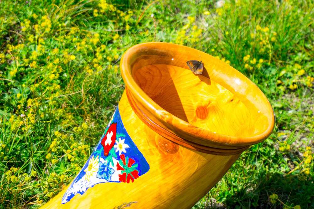 A moth hanging out on the alphorn!