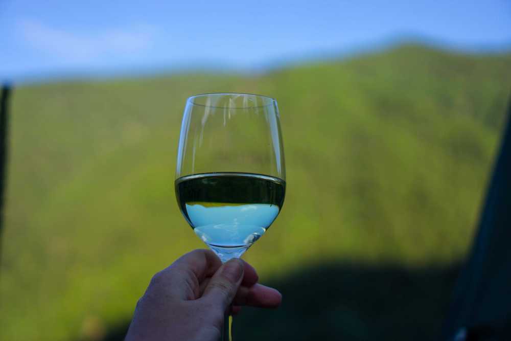 Swiss wine with a lovely view in the background