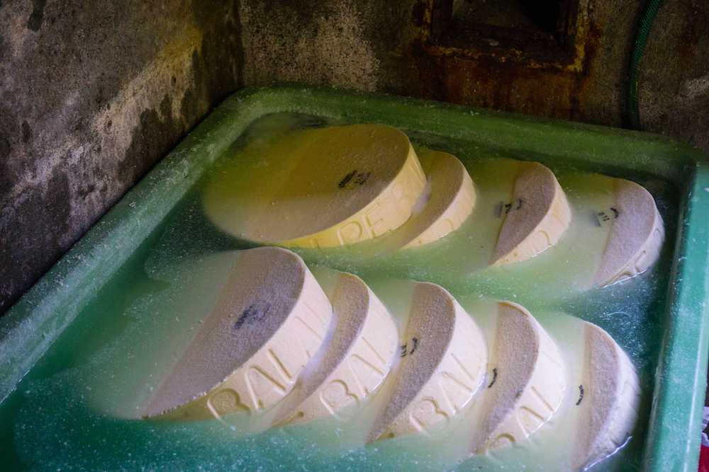 cheesemaking in Nendaz Switzerland - Valais region