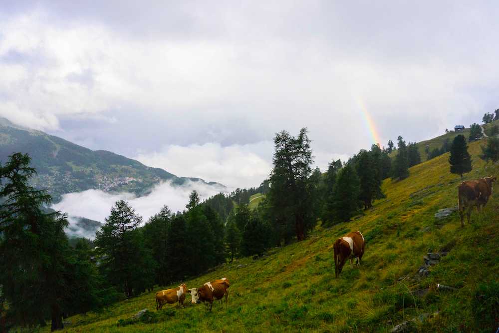 A beautiful rainbow in Nendaz, Valais, Switzerland