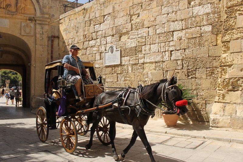 A man on a carriage with a black horse in Mdina