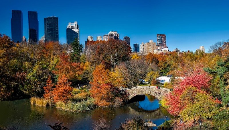 central park with autumn colors and autumn foliage and skyline in the background at the pond.