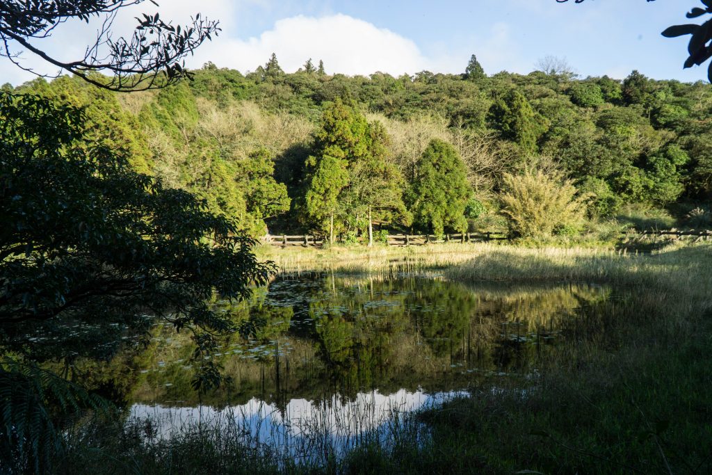 a green lake in yangmingshan national park, part of taipei city