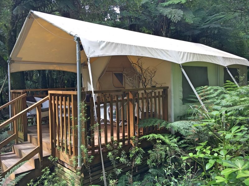 Glamping in New Zealand forest - Eternal Arrival