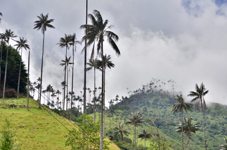 What to Expect When You Travel to Colombia