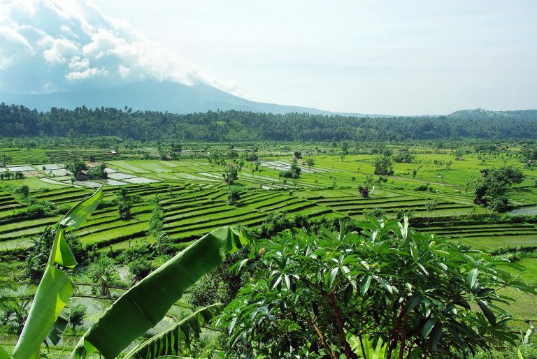 Bali Packing List: What to Pack for Bali (In Rainy or Dry Season)