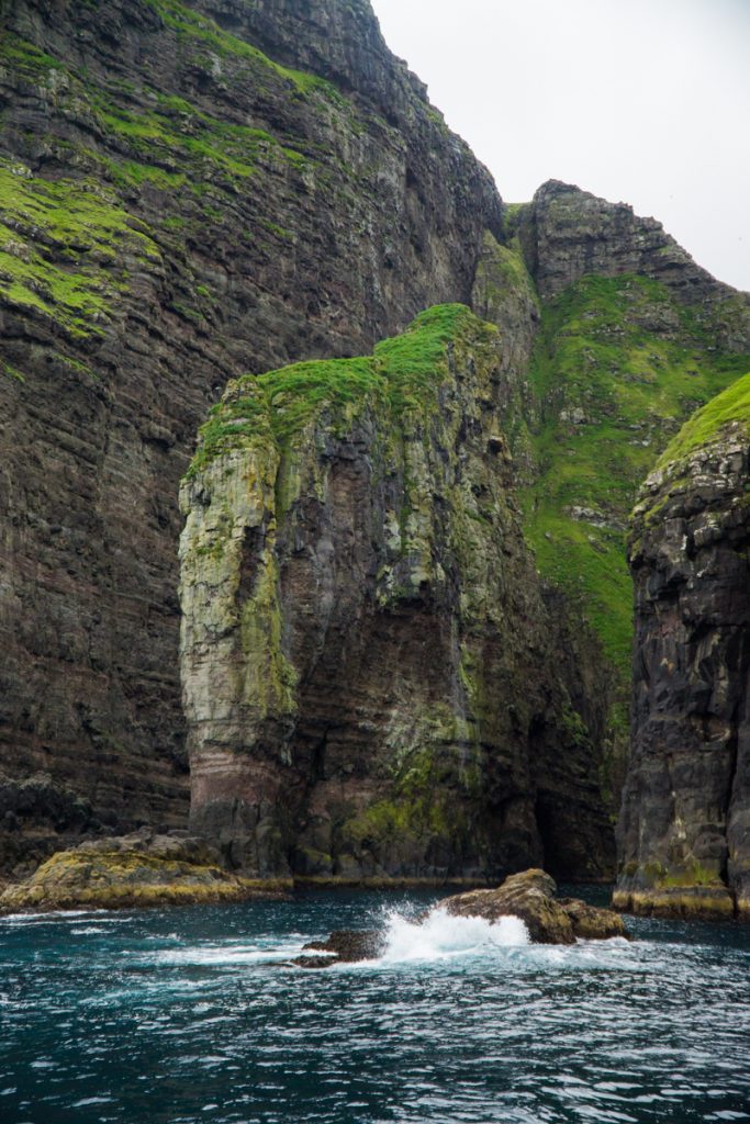 large cliffs with lots of bird life above