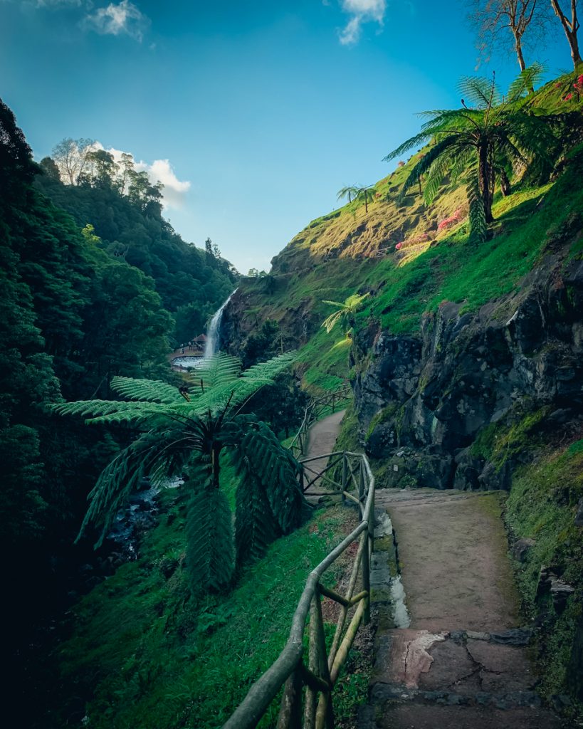 a trail leading to a waterfall with lots of tropical-looking plant life
