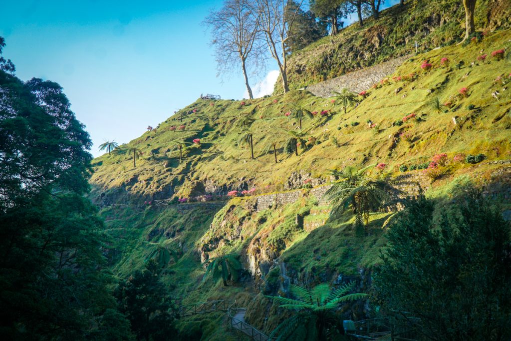 bright sunlight on a portion of the park which illuminates plant life