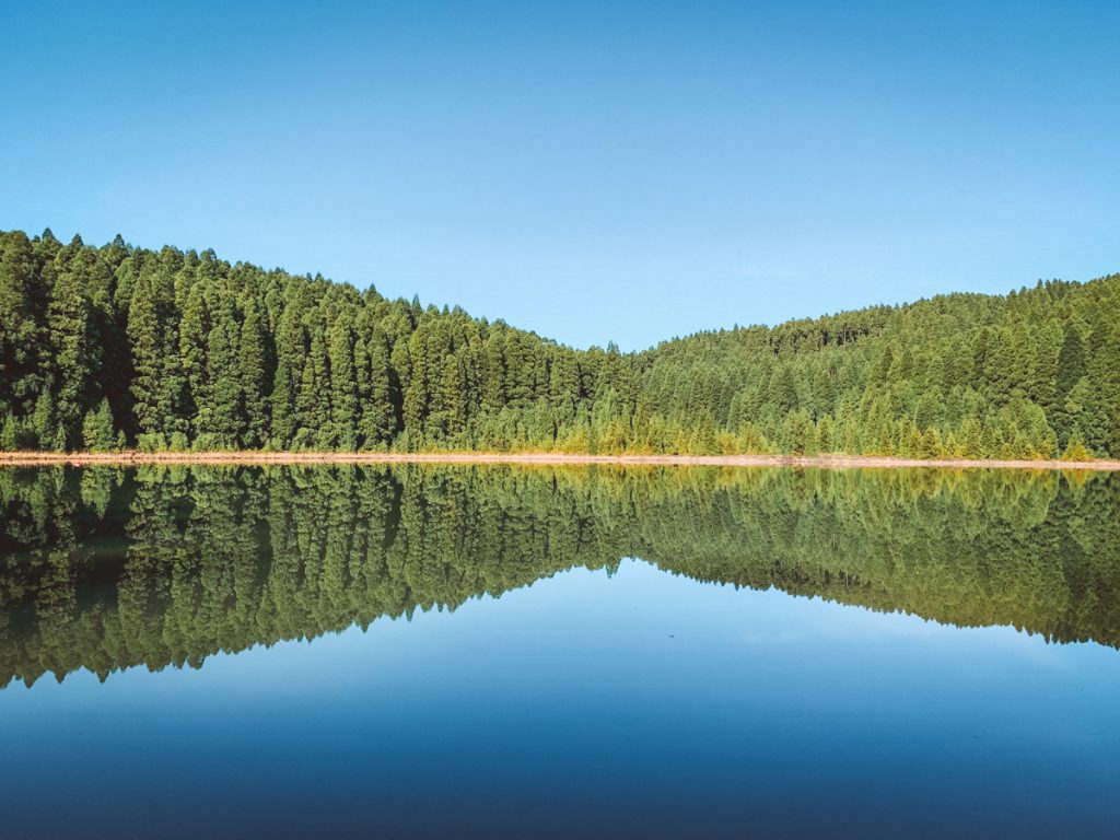 peaceful water forming a still mirror image in the lake surrounded by trees