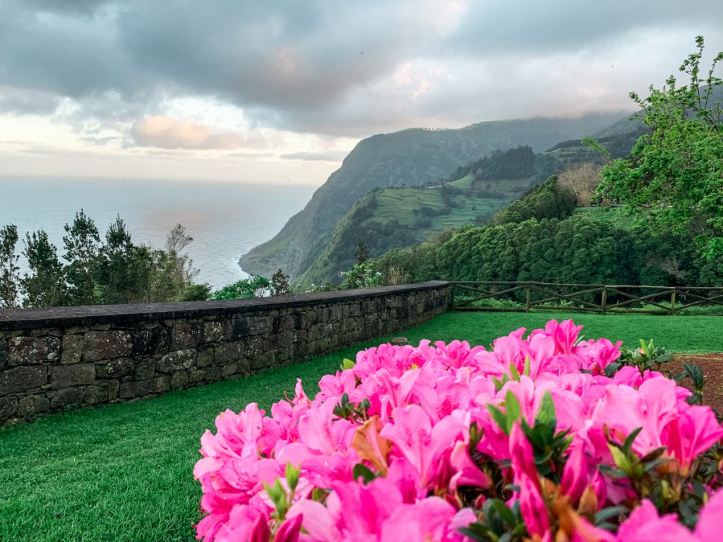 pink hydrangeas at the ponta de sossego lookout