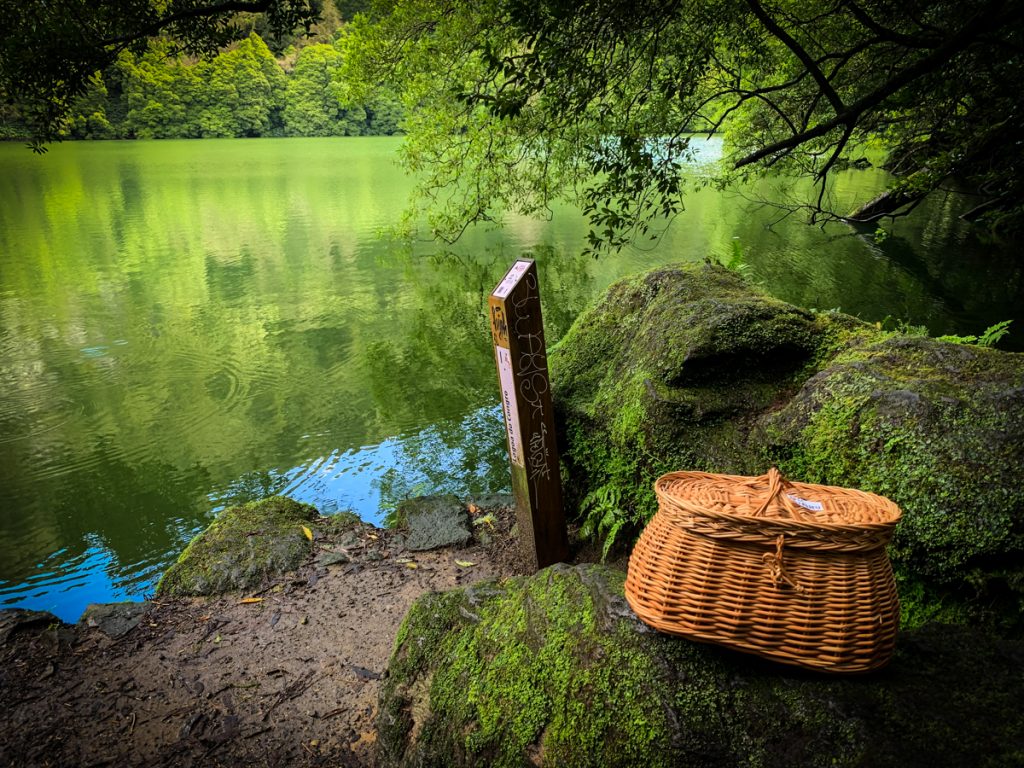 the breakfast picnic basket they gave us