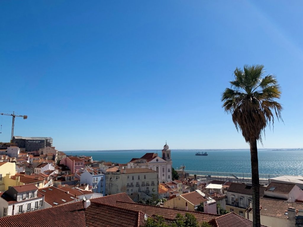 view of lisbon city skyline and rooftops with a palm tree on a sunny day with view of river