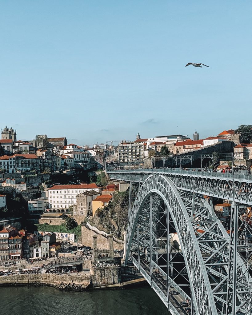 seagull flying over a metal arch bridge that corrects two sides of porto and vila nova de gaia