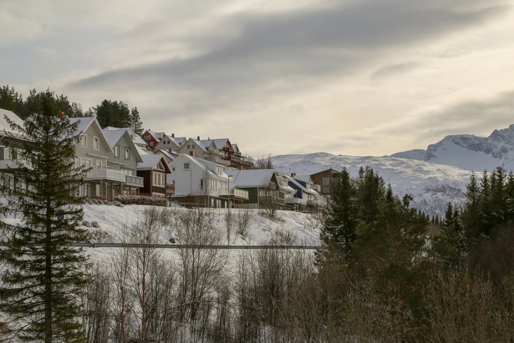 A view of the town of Narvik Norway as seen from a lower vantage point with the houses in clear focus and mountains in the distance.