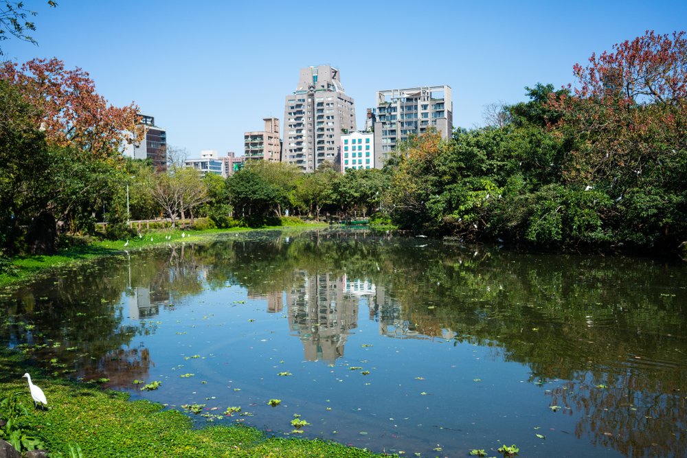 a peaceful park in the center of taipei with skyline behind it