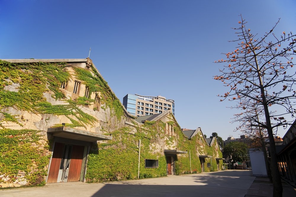 people walking a creative park with lots of ivy growing on the buildings and skyline behind