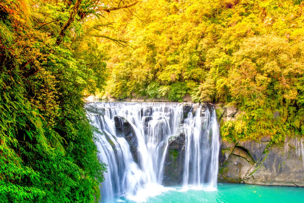 yellow and orange foliage taking over the forest around a beautiful waterfall called shifen waterfall