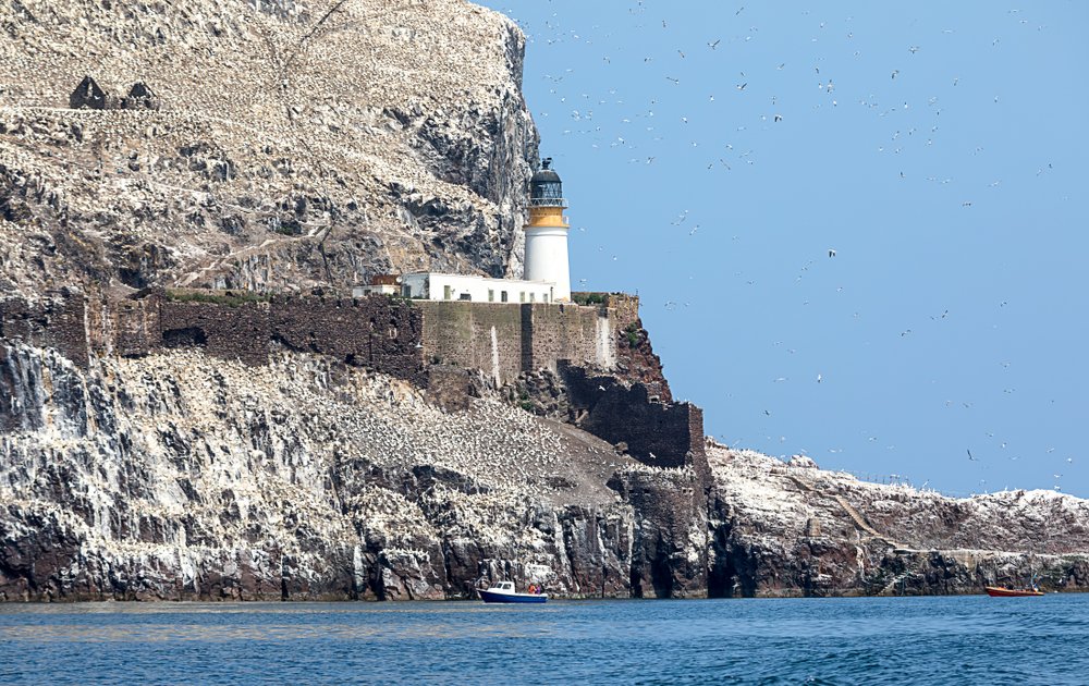 Lighthouse on island with cliff, boat, and seabirds