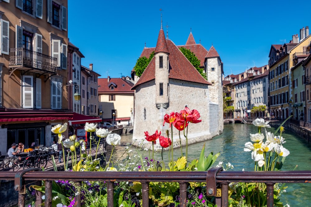 flowers, like red and white poppies, in front of a building in the middle of a canal on a sunny day in annecy, france, a beautiful fairytale village