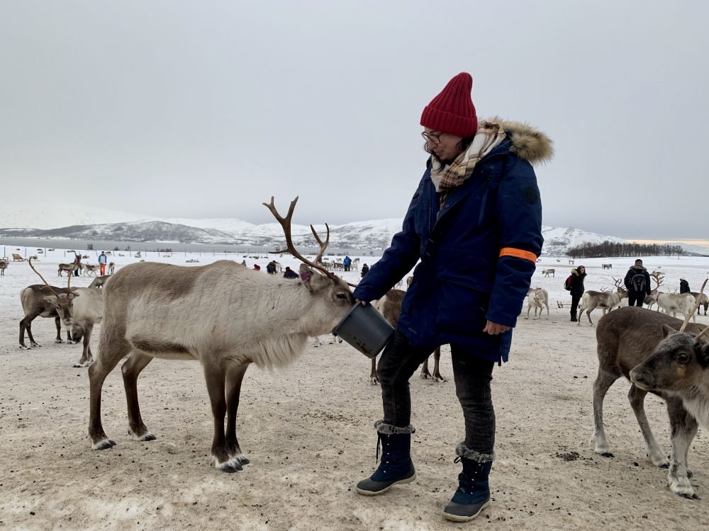 Allison Green wearing snow boots, a snow jacket, a red cap, a plaid scarf, feeding a reindeer from a bucket