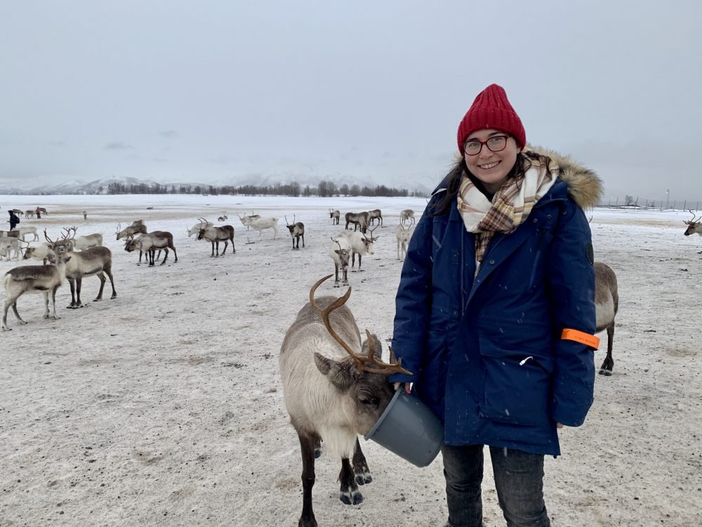 Allison Green feeding the reindeer out of a bucket at a Sami reindeer camp near Tromso Norway. She is wearing a red hat, a plaid scarf, a blue parka, black jeans, and she is smiling at the camera with reindeers in the background.